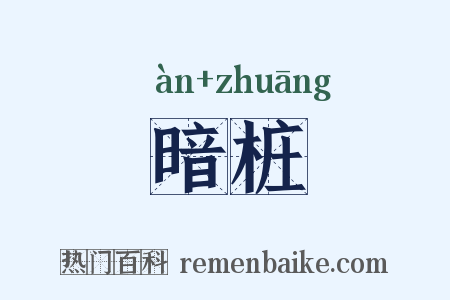 暗桩是什么意思的图片